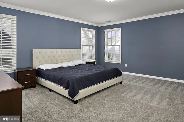 front view of a house with a tree