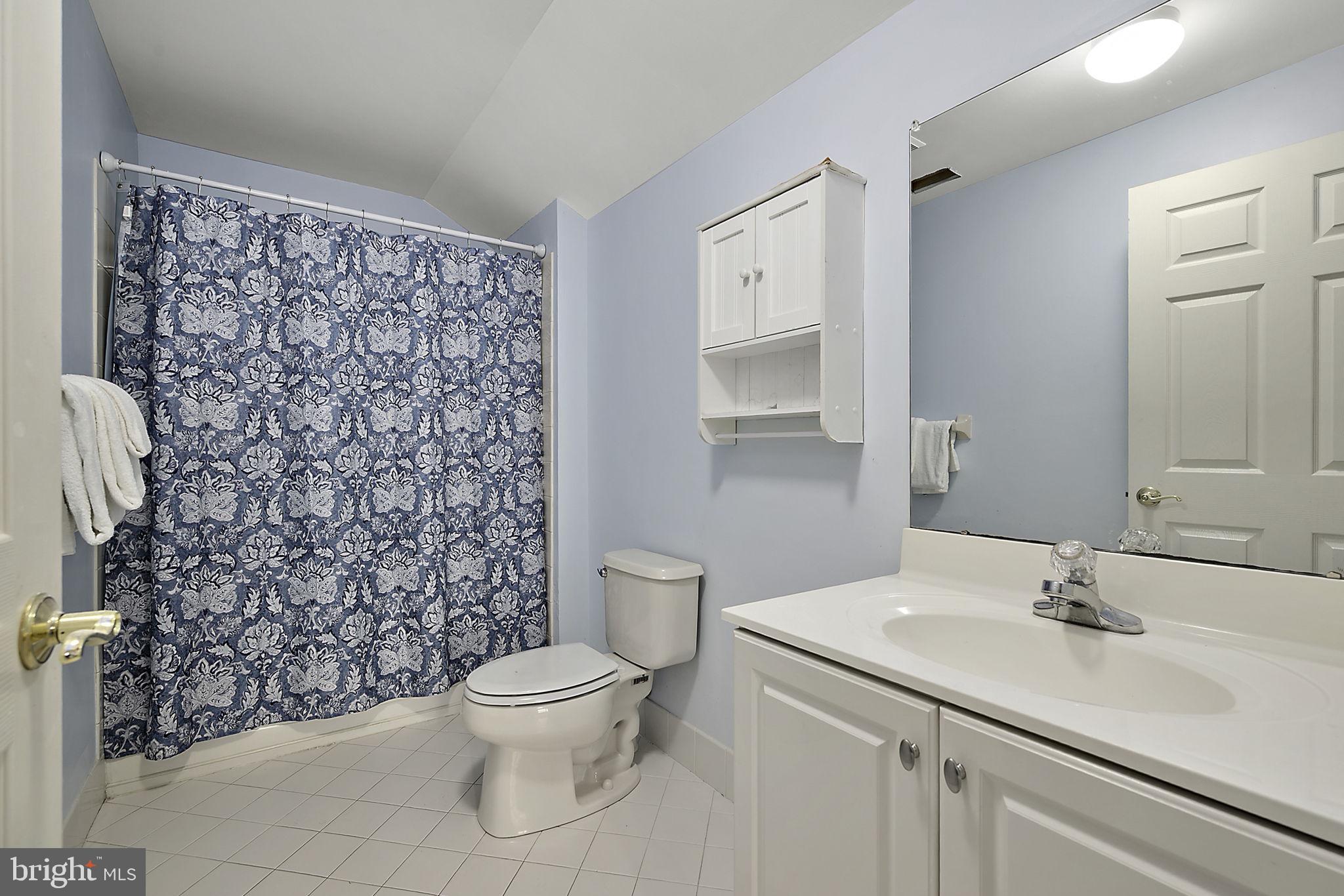 12167 Snug Harbor Road Berlin, MD 21811 - Photo 53 of 107 a bathroom with a sink toilet and a mirror