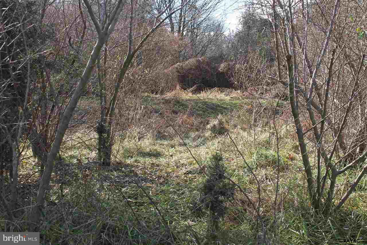 781 McGlaughlin Road Fairfield, PA 17320 - Photo 2 of 8
