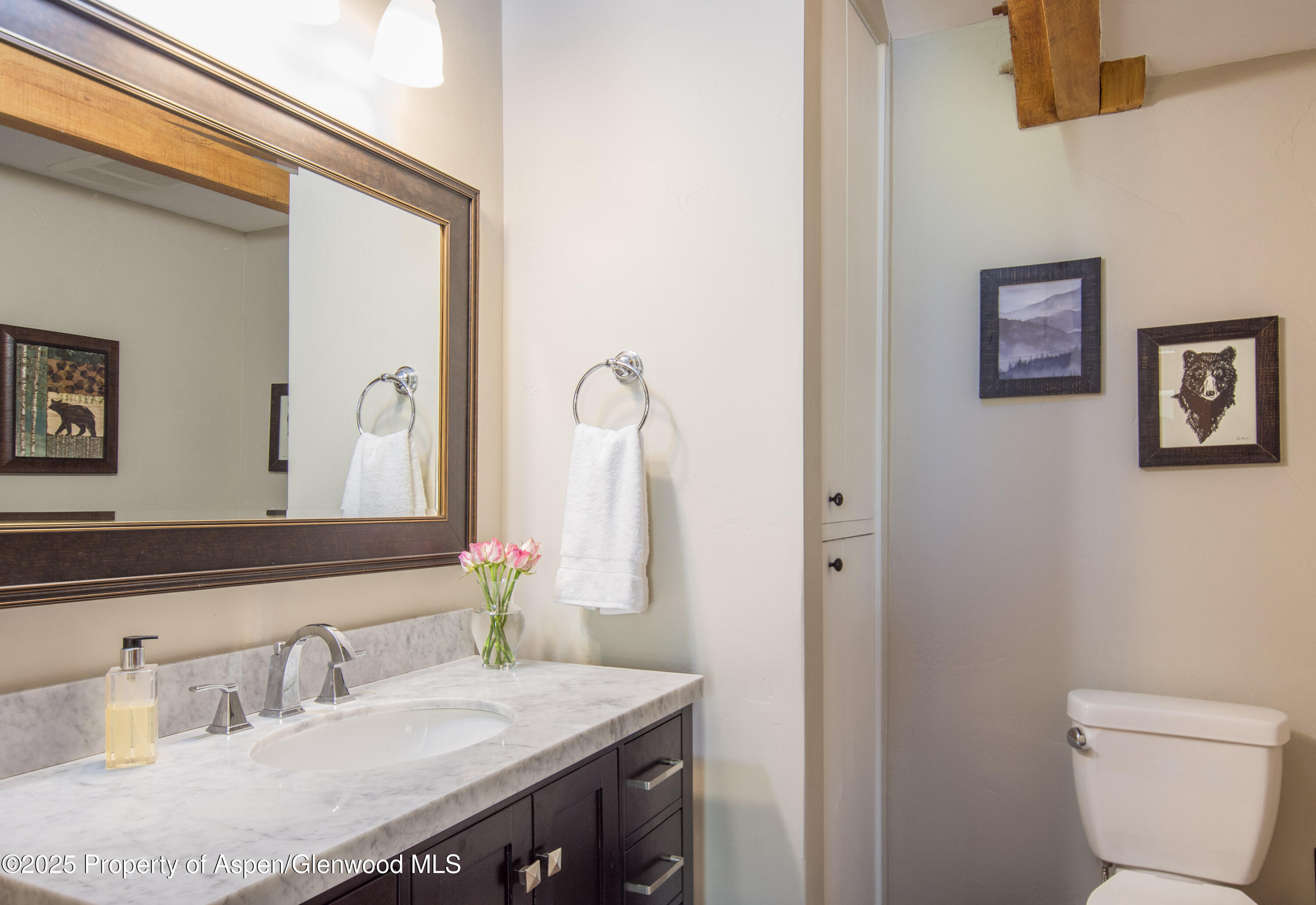 215 Maple Ridge Lane Snowmass Village, CO 81615 - Photo 19 of 30 a bathroom with a sink and a mirror