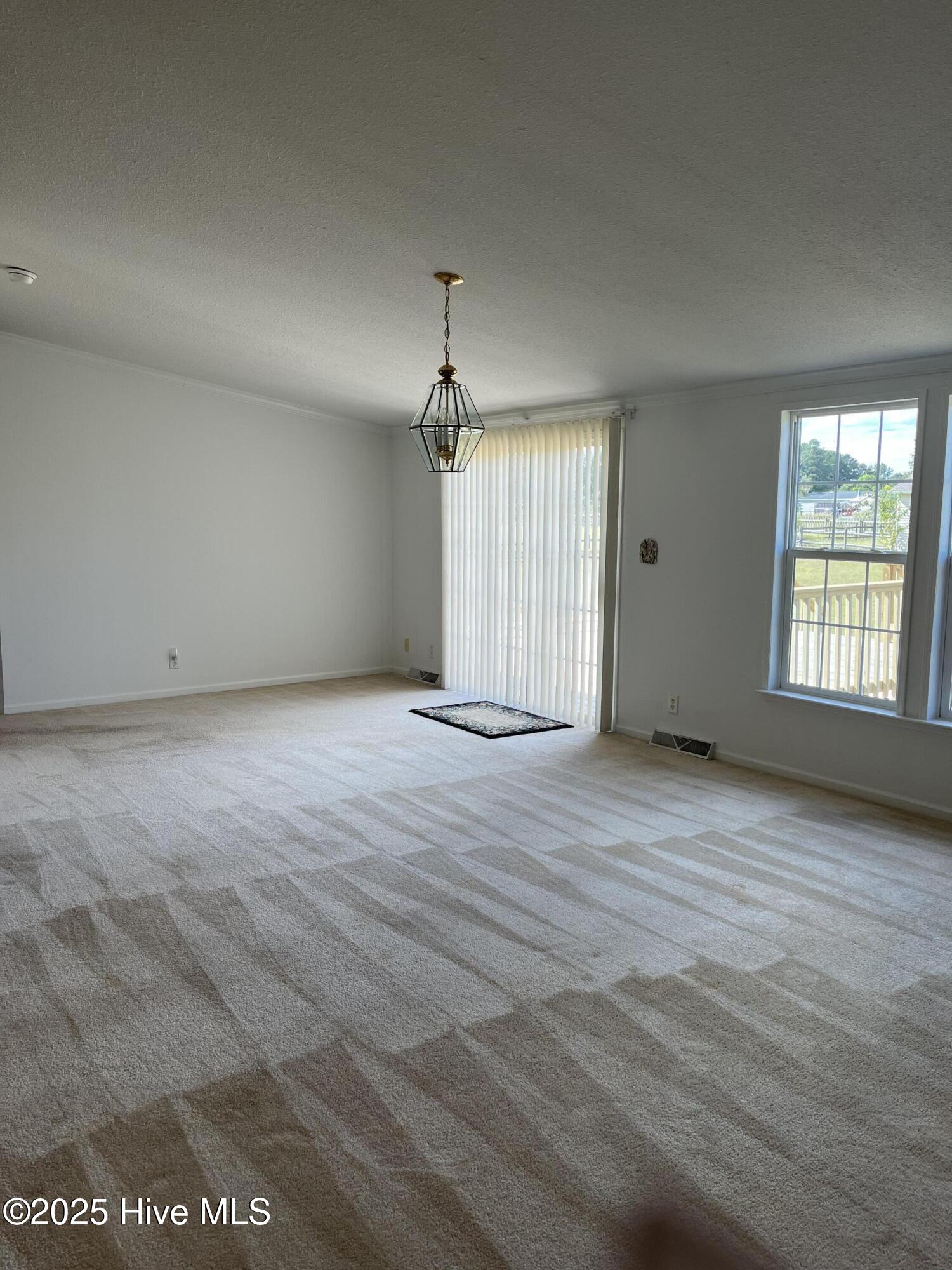 19 Kelly Street Gates, NC 27937 - Photo 33 of 39 IMG_4729