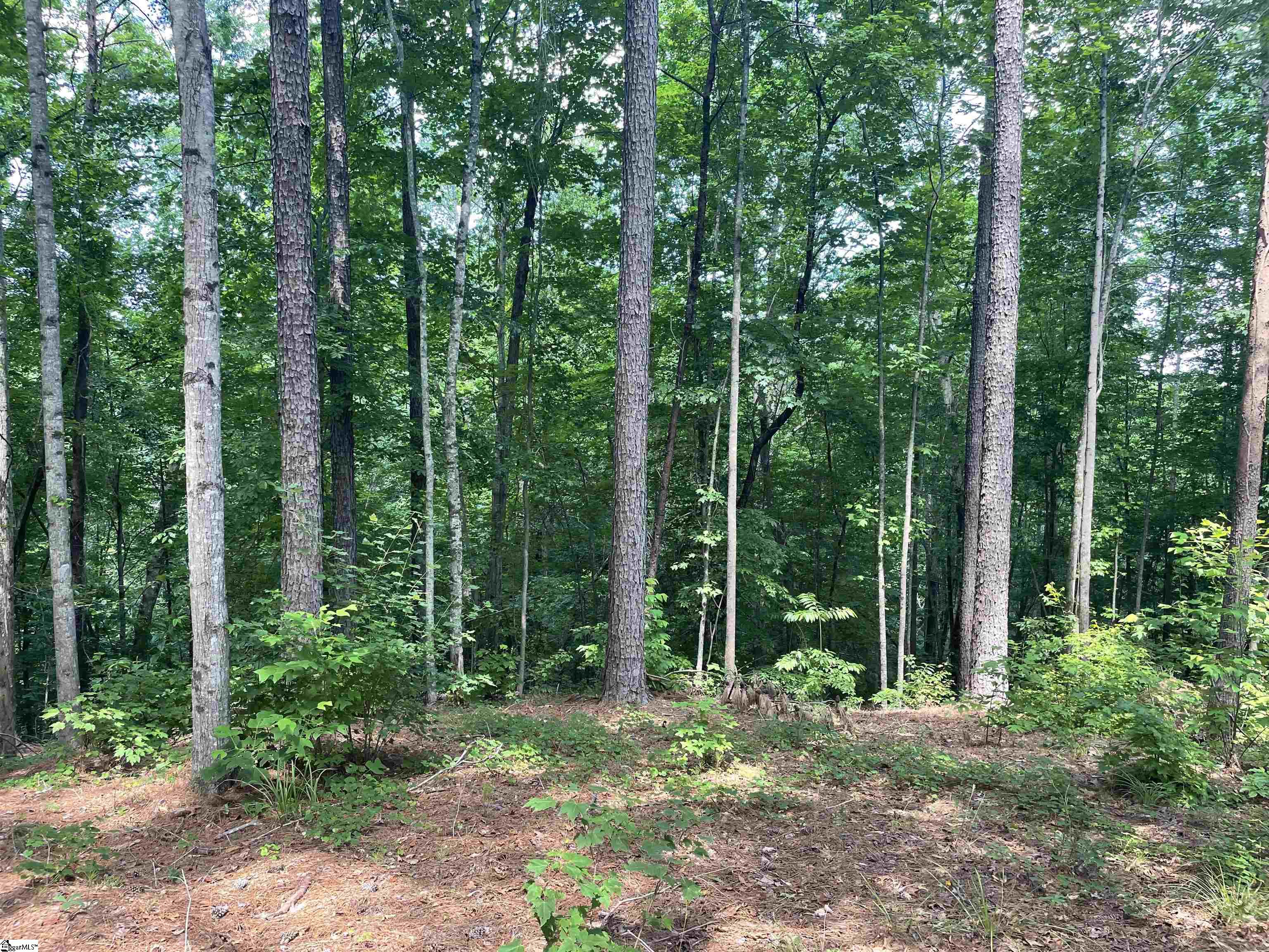 0 Nimmons Bridge Road Salem, SC 29676 - Photo 7 of 27