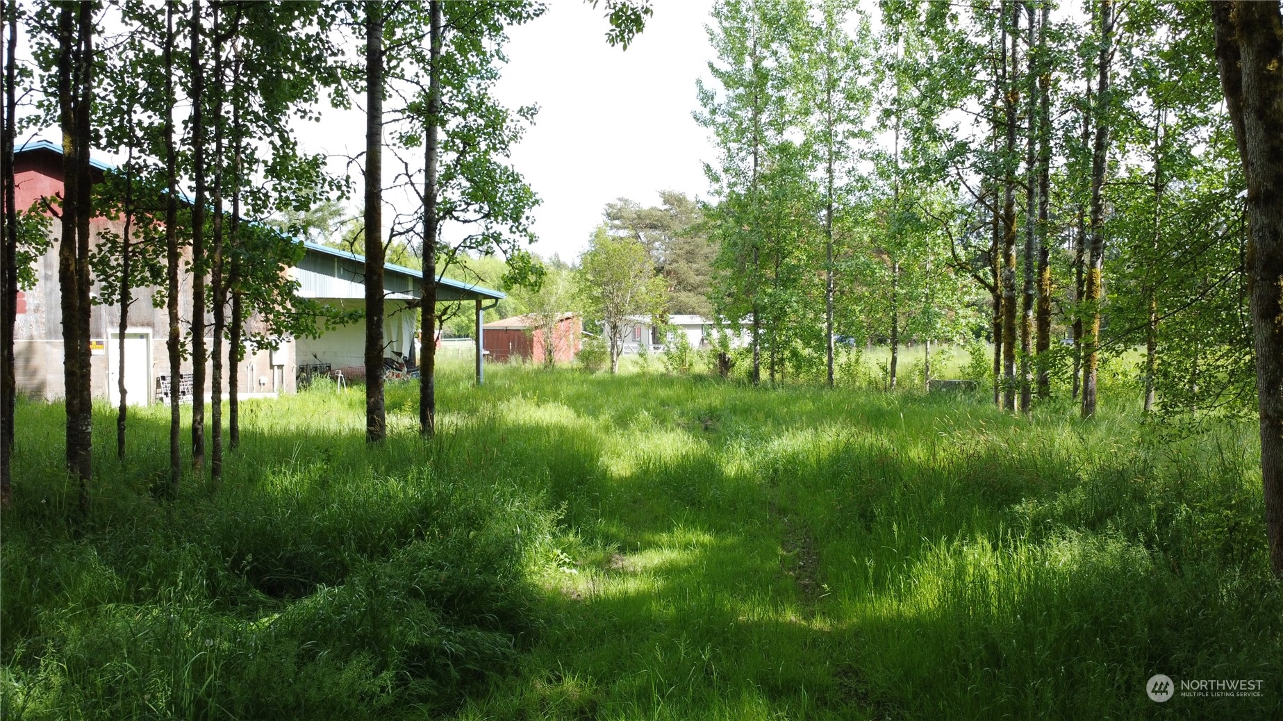 326 Henriot Road Winlock, WA 98596 - Photo 14 of 20 a backyard of a house with lots of green space