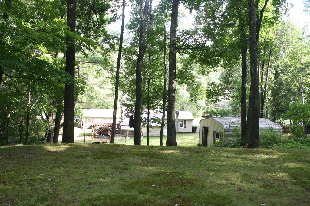 181 Main Road Gill, MA 01354 - Photo 7 of 13 a view of a park with large trees