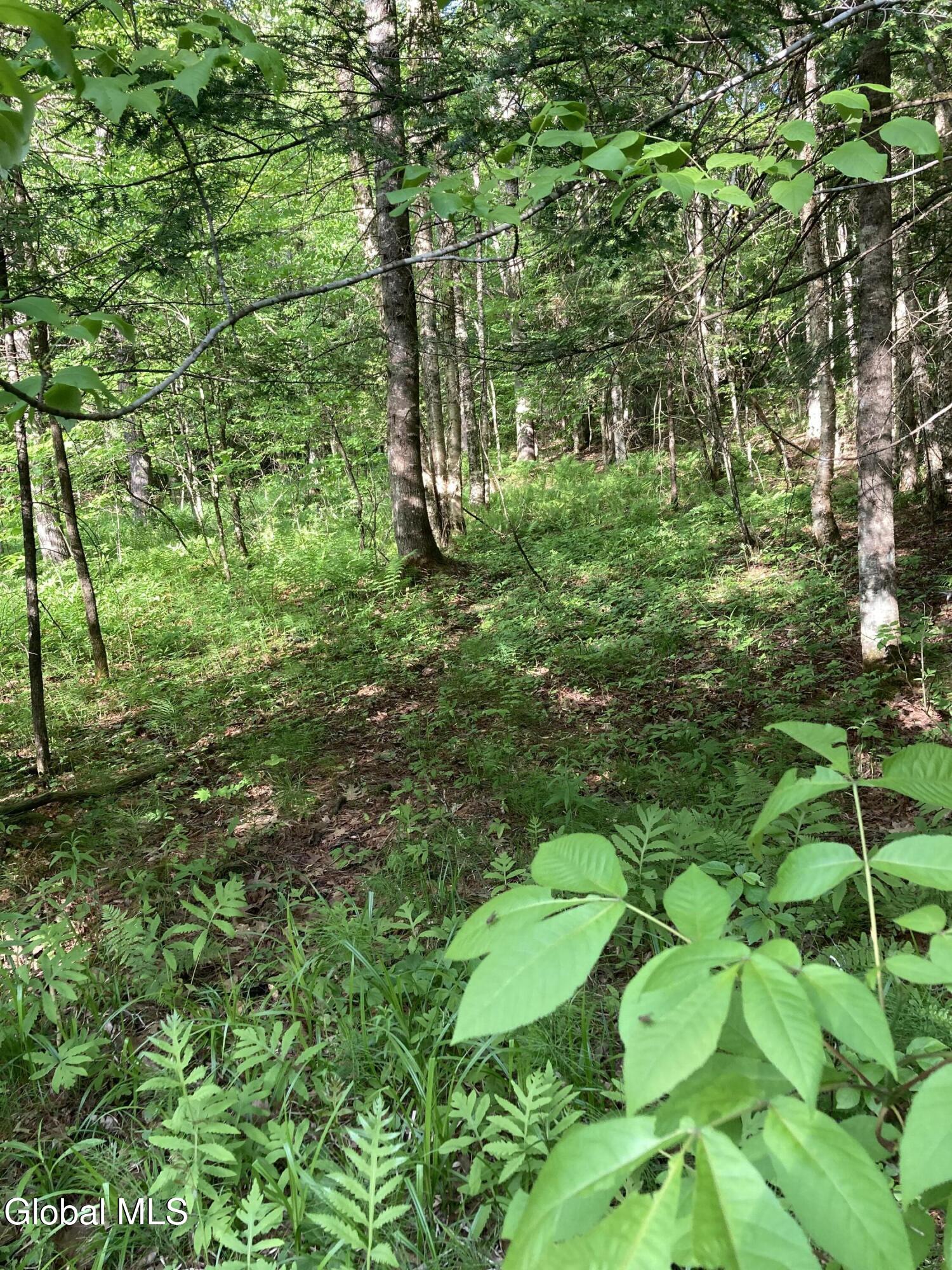 L3 Breed Hill Road Crown Point, NY 12928 - Photo 2 of 16 IMG_0803