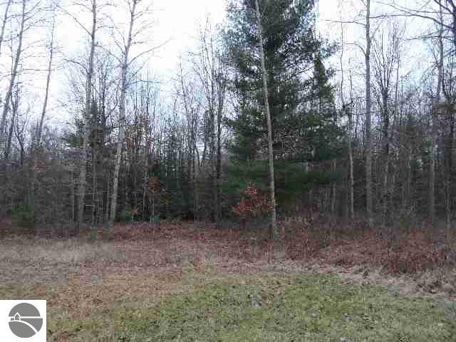 4959 South Morrison Road Alger, MI 48610 - Photo 4 of 11 1751148-3.JPG