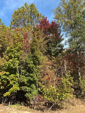 a view of a large building