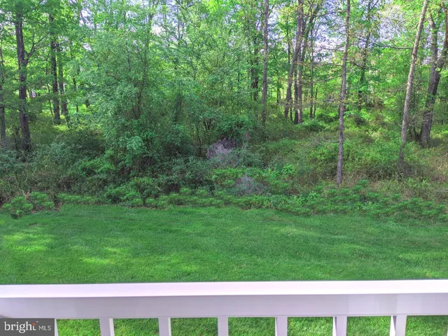 a view of a grassy area