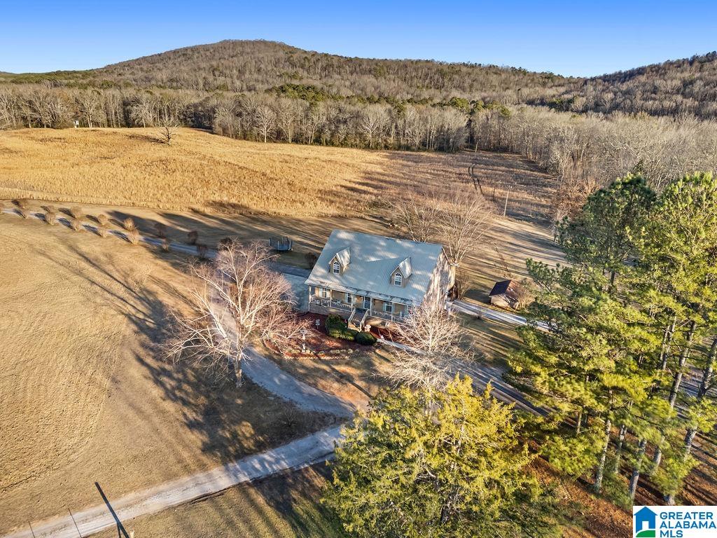 200 Carter Drive Springville, AL 35146 - Photo 13 of 66
