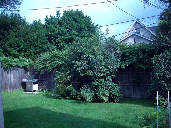 19 Mott Street Worcester, MA 01604 - Photo 23 of 24 Gallery Image 23
