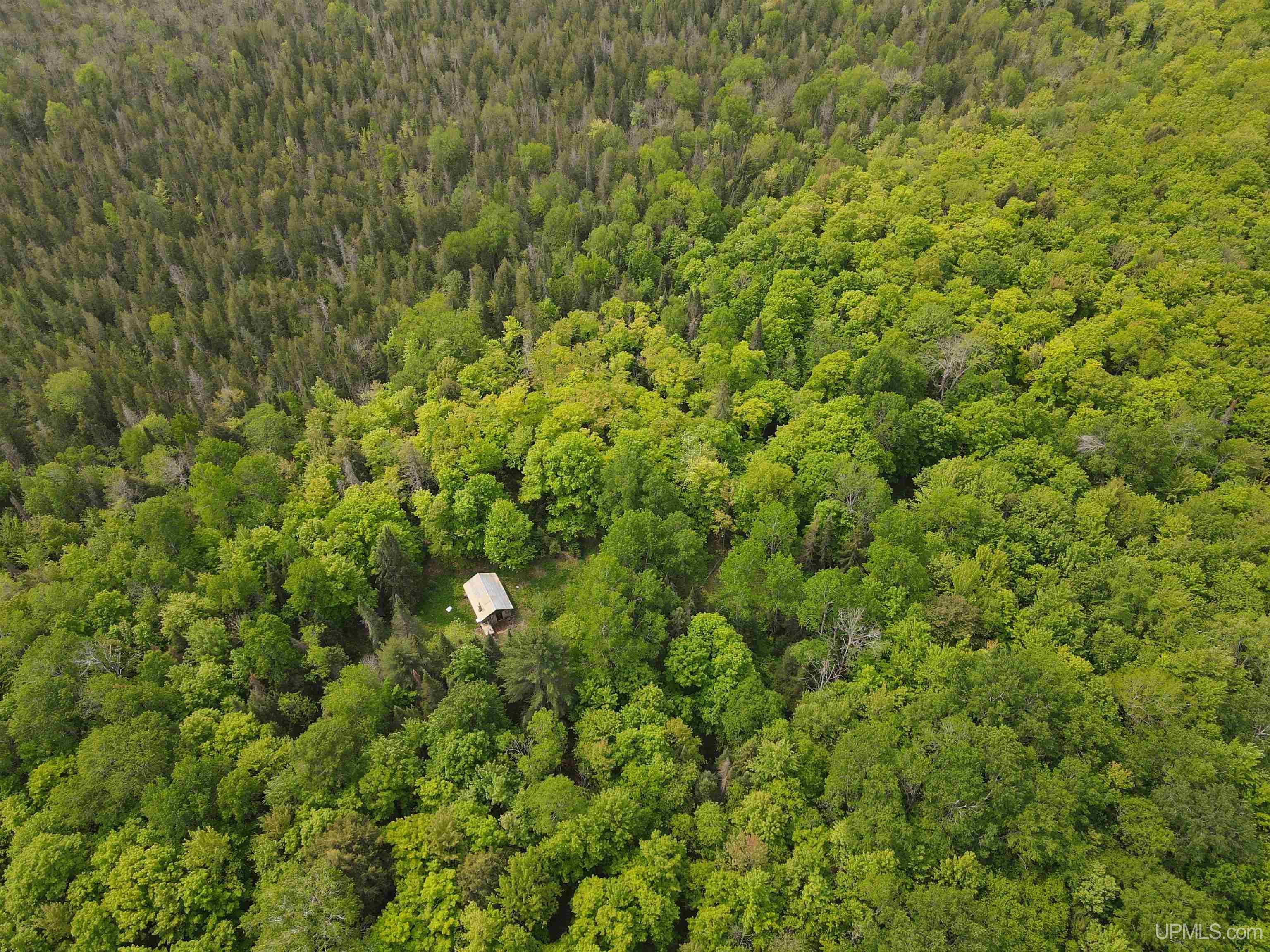 Tbd Tbd Uncle Nanny Road Wakefield, MI 49968 - Photo 3 of 21