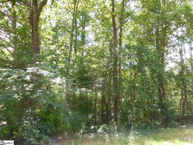 $45,000 | 0 Heathwood Drive, Spartanburg, SC 29307