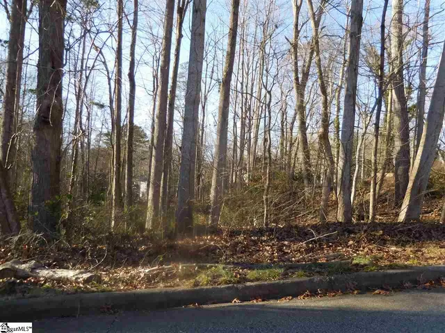 $45,000 | 0 Heathwood Drive, Spartanburg, SC 29307