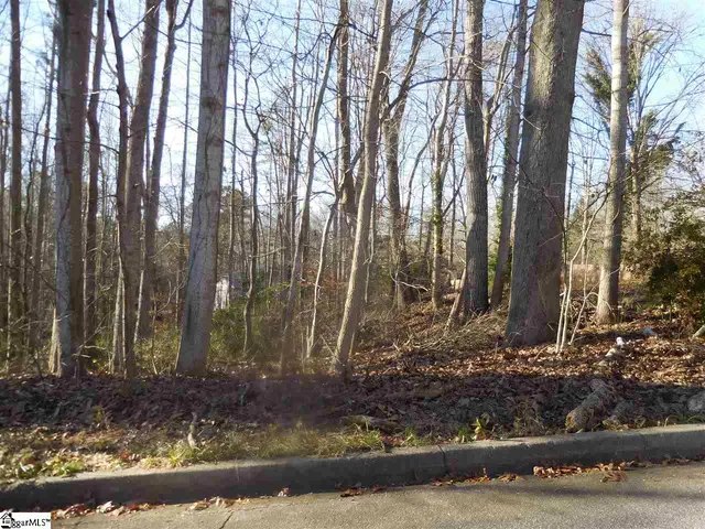 $45,000 | 0 Heathwood Drive, Spartanburg, SC 29307