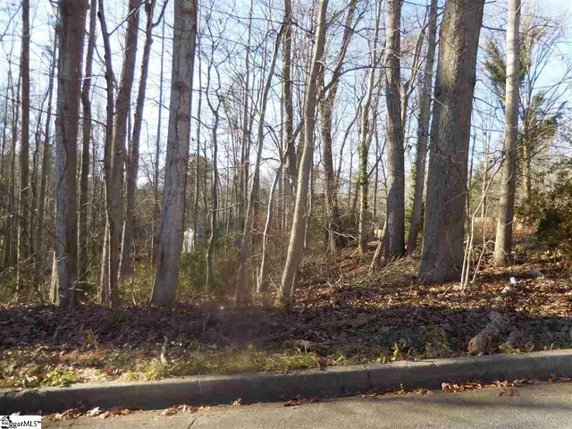 $45,000 | 0 Heathwood Drive, Spartanburg, SC 29307