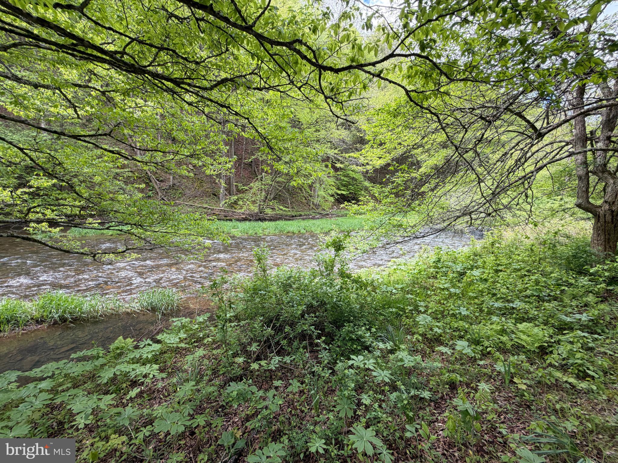 1227 Cross Fork Creek Road Cross Fork, PA 17729 - Photo 90 of 139