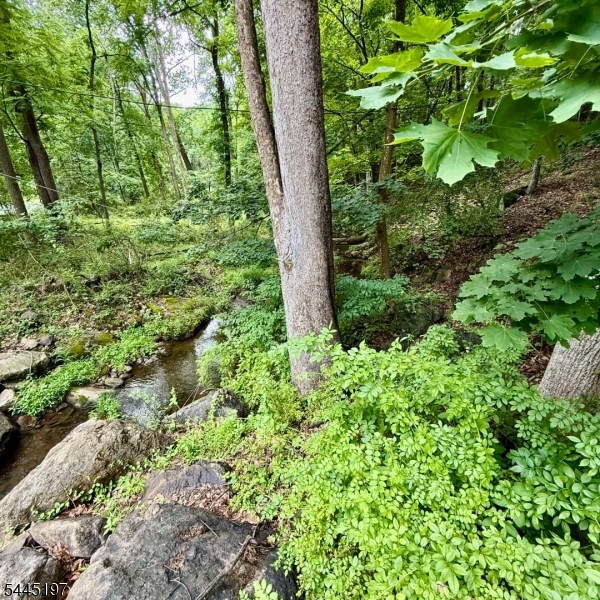 58 Hollow Road Glen Gardner, NJ 08826 - Photo 16 of 17