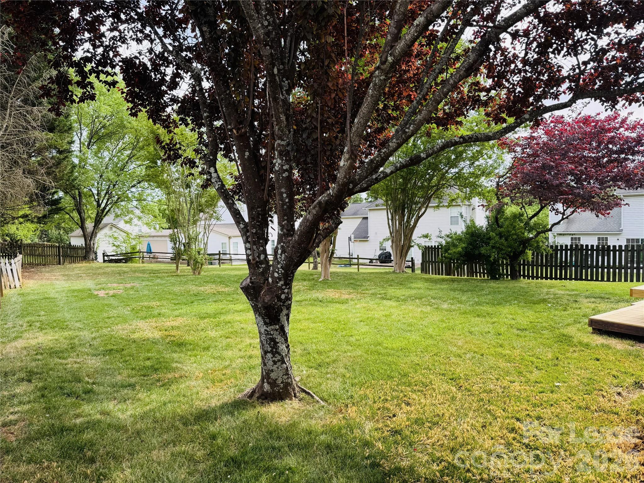 11408 Coreopsis Road Charlotte, NC 28213 - Photo 32 of 33