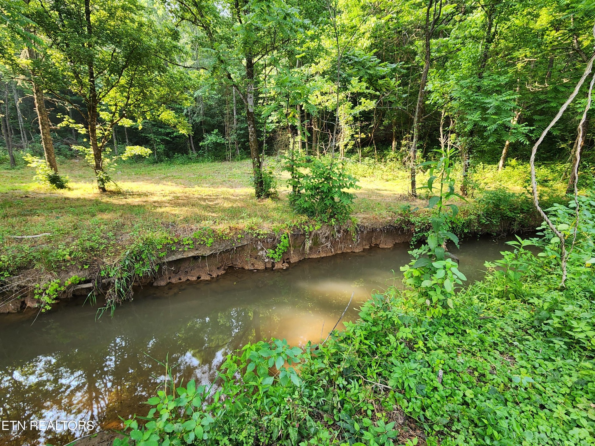 28 Blockhouse Road Maryville, TN 37803 - Photo 11 of 19 Gallery Image 11