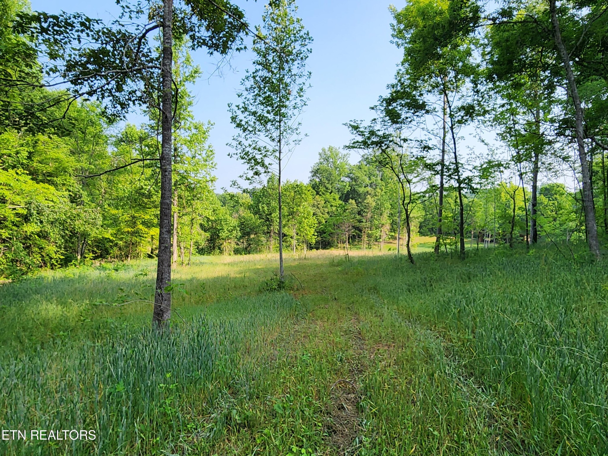 28 Blockhouse Road Maryville, TN 37803 - Photo 4 of 19 Gallery Image 4