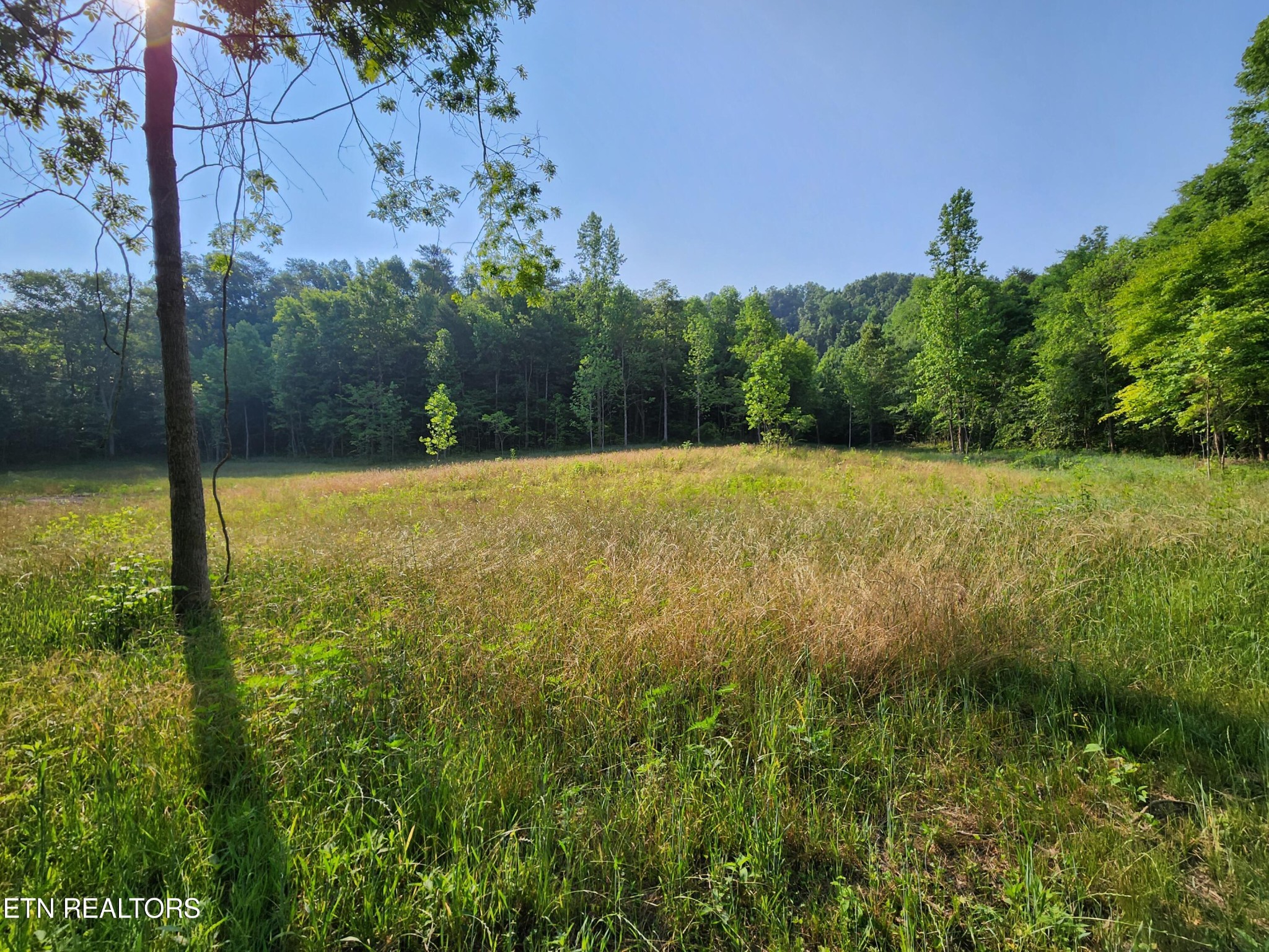 28 Blockhouse Road Maryville, TN 37803 - Photo 6 of 19 Gallery Image 6