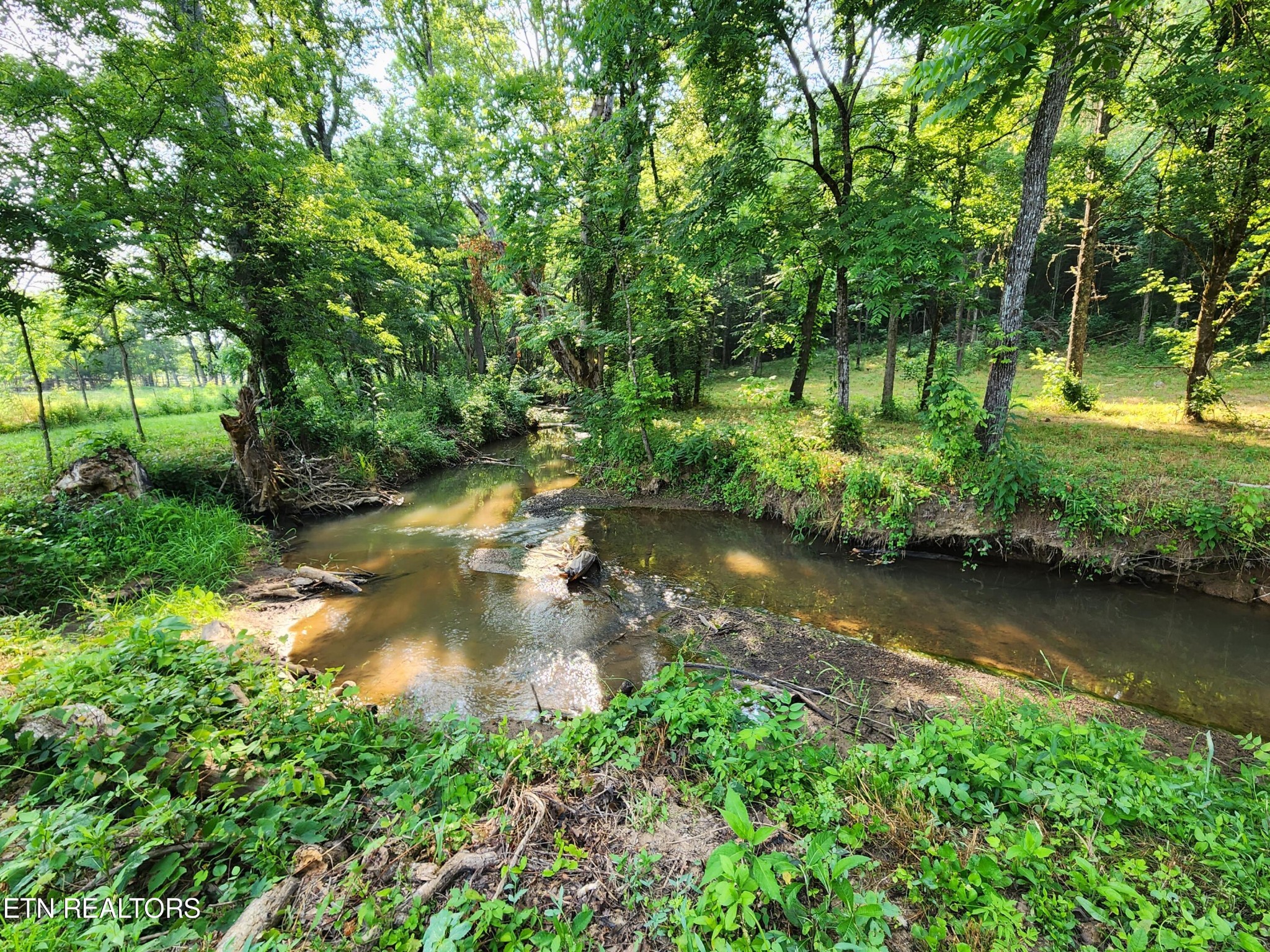 28 Blockhouse Road Maryville, TN 37803 - Photo 10 of 19 Gallery Image 10