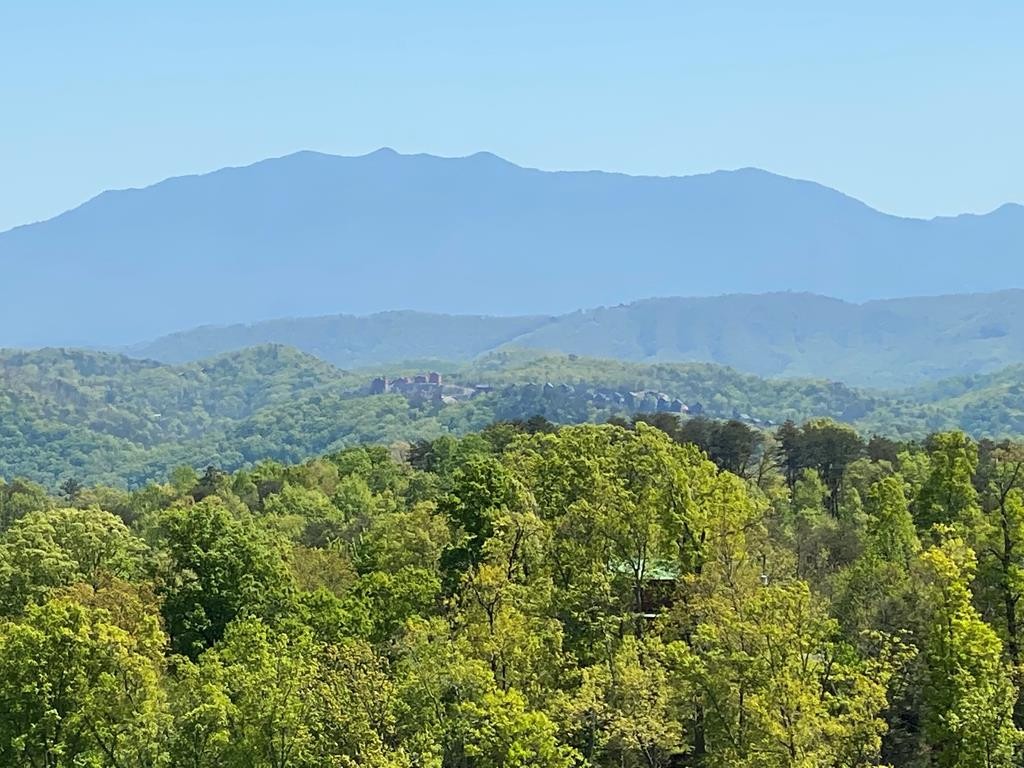 1910 Bluff Ridge Road Sevierville, TN 37876 - Photo 4 of 66