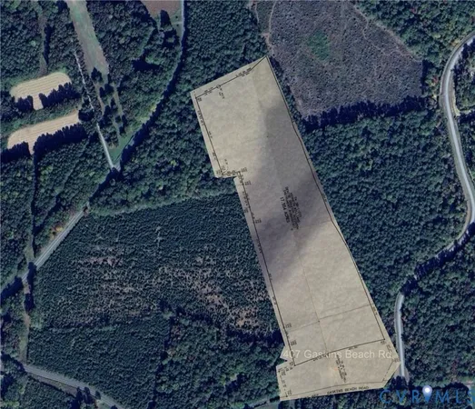 a view of a yard
