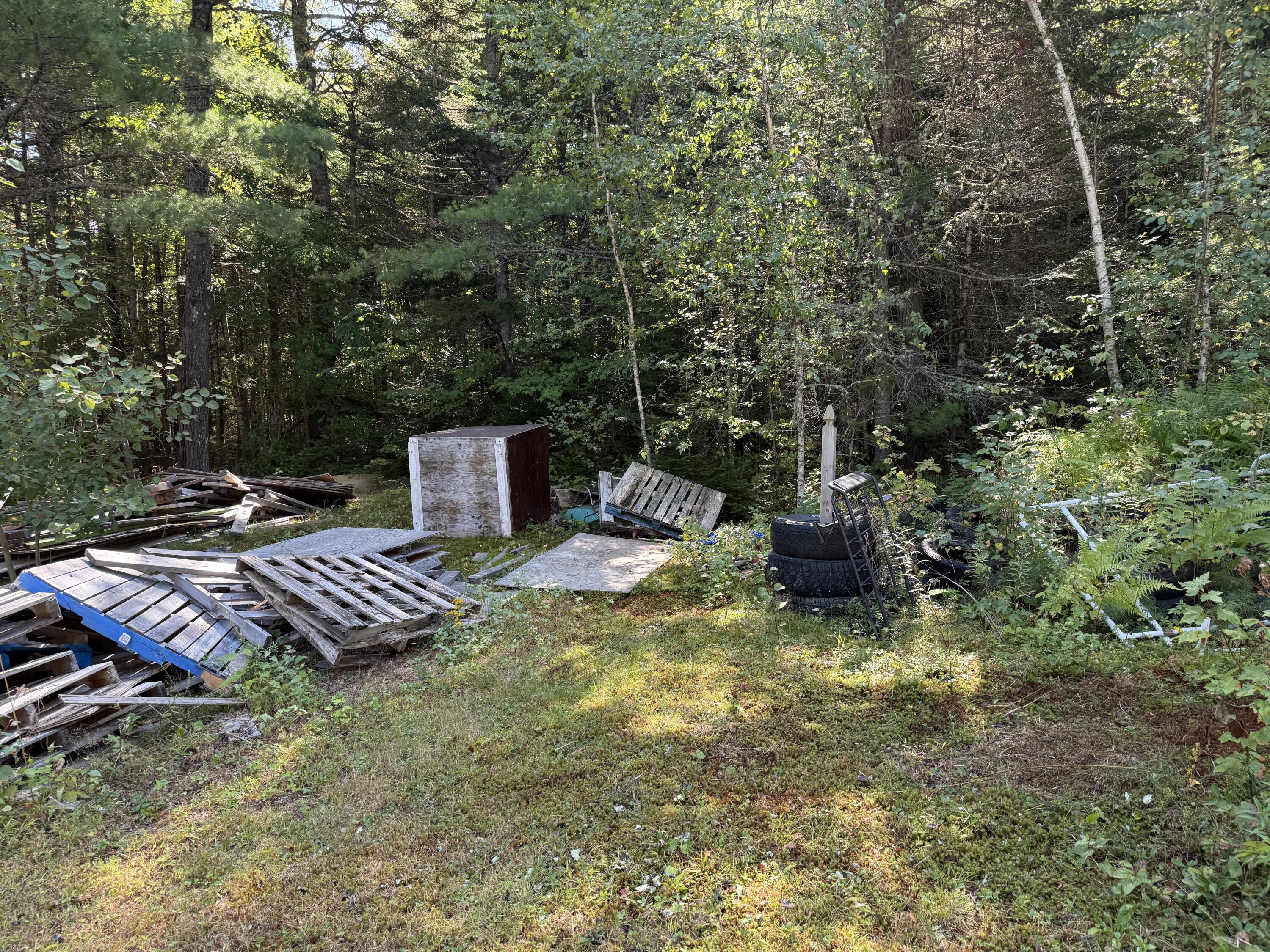 759 Springy Pond Road Otis, ME 04605 - Photo 13 of 28 IMG_1979