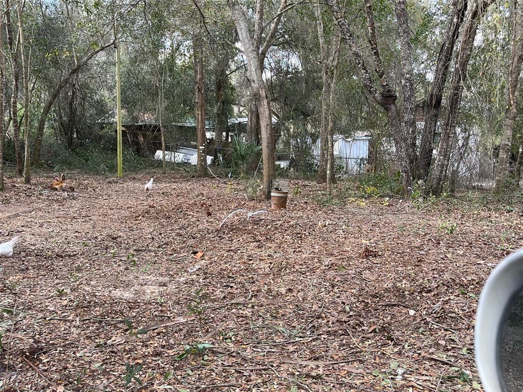 11749 East Cardinal Pl  