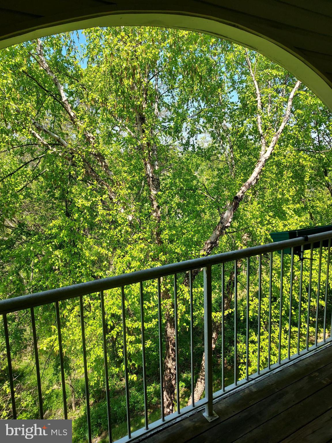 7204 Bogley Road, Unit 303 Windsor Mill, MD 21244 - Photo 24 of 24 View from balcony