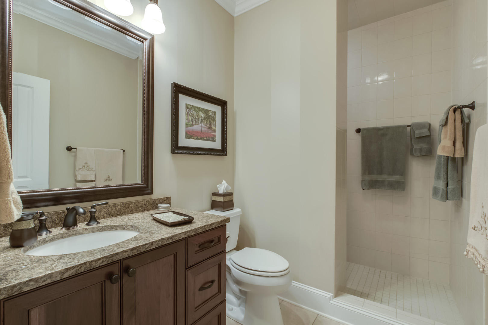 256 Cheestana Way Loudon, TN 37774 - Photo 25 of 40 25_256 Cheestana Way_GuestBath1