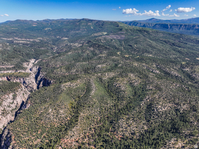 22 Fitzwater Drive, Unit 22 Springdale, UT 84767 - Photo 5 of 21 Expansive mountainous terrain featuring dense evergreen forestation and a prominent canyon formation