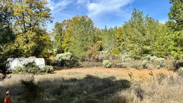 a view of a yard with a tree