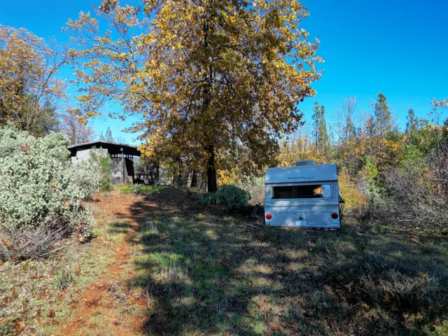 a view of a back yard with plants
