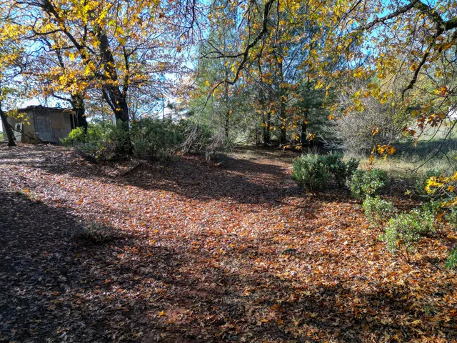a view of backyard with green space
