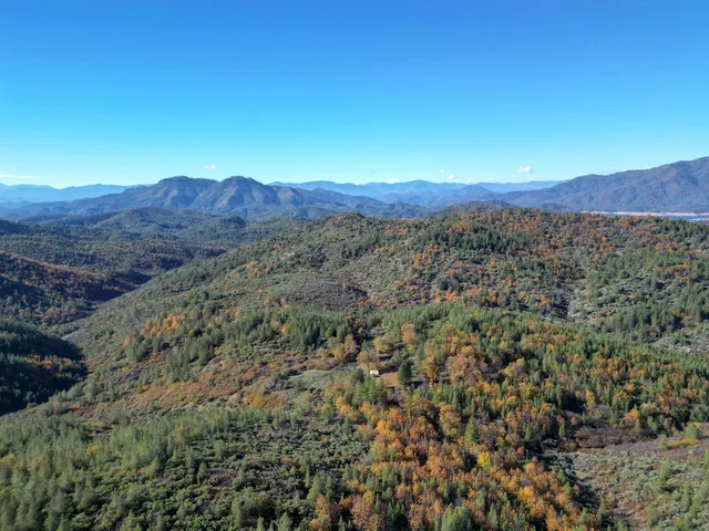 a view of a forest with mountains in the background