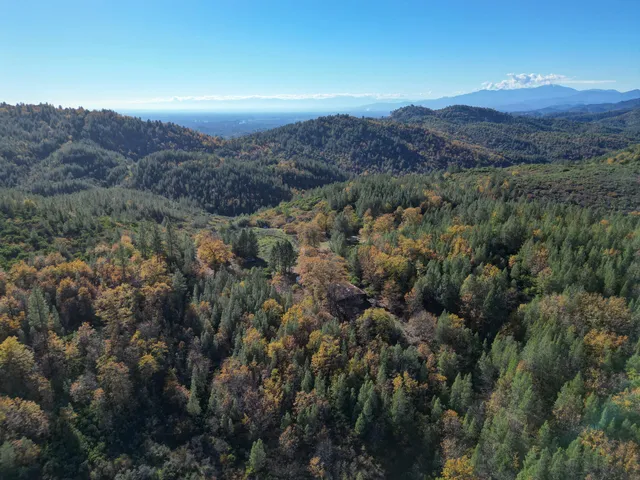 a view of a lush green hillside and a building