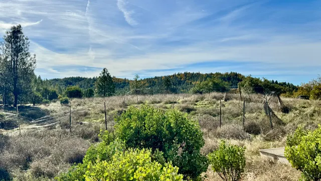 a view of outdoor space and city view