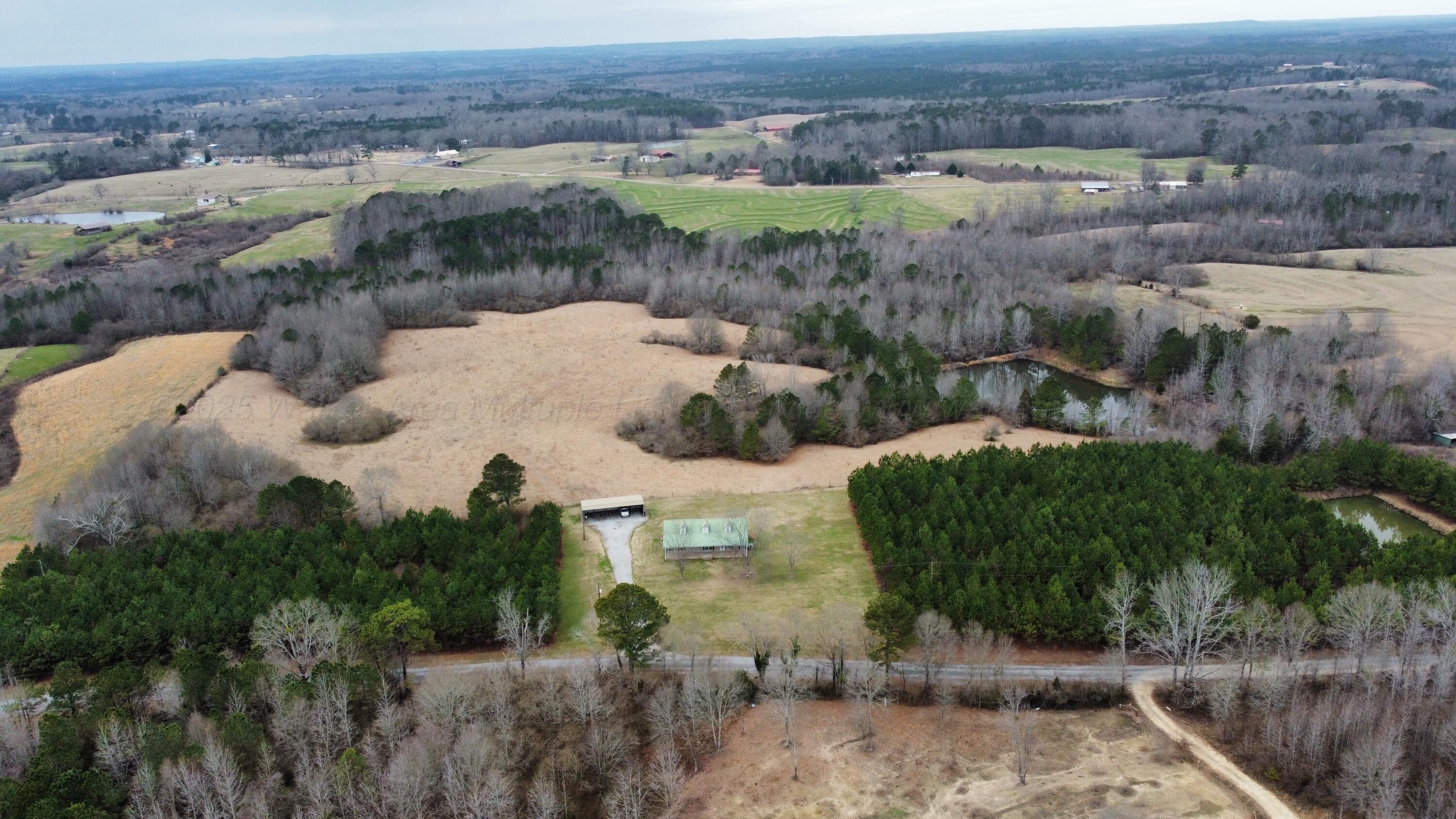 3043 Woods Road Nauvoo, AL 35578 - Photo 36 of 38 Gallery Image 36