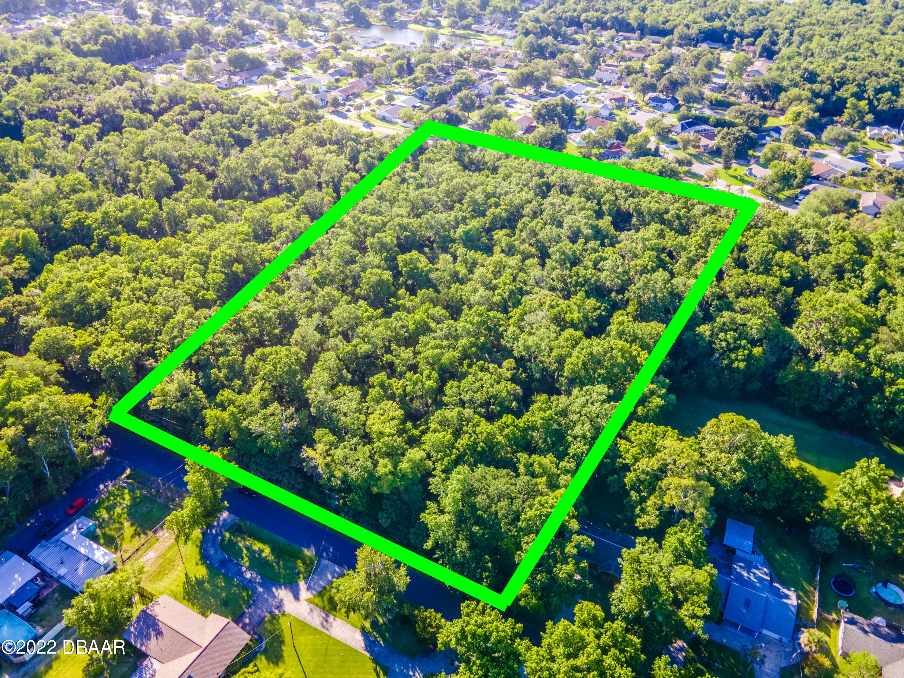 845 Arroyo Parkway Ormond Beach, FL 32174 - Photo 3 of 8 a picture of flowers