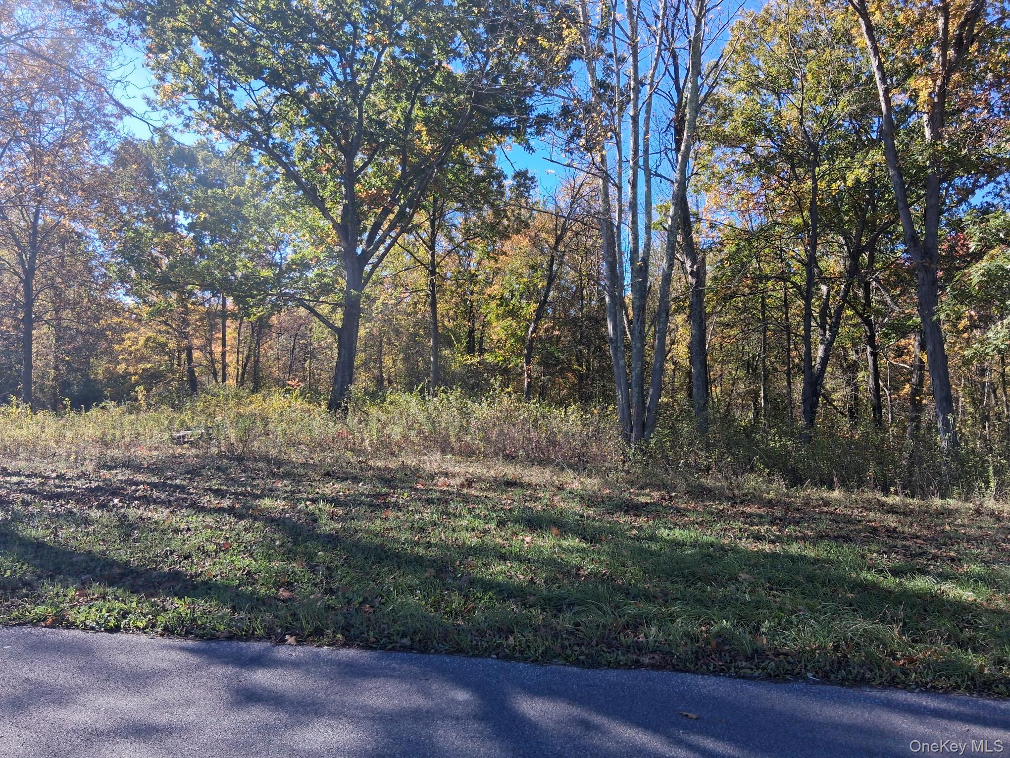 South Road Germantown, NY 12526 - Photo 4 of 9 a view of outdoor space with trees