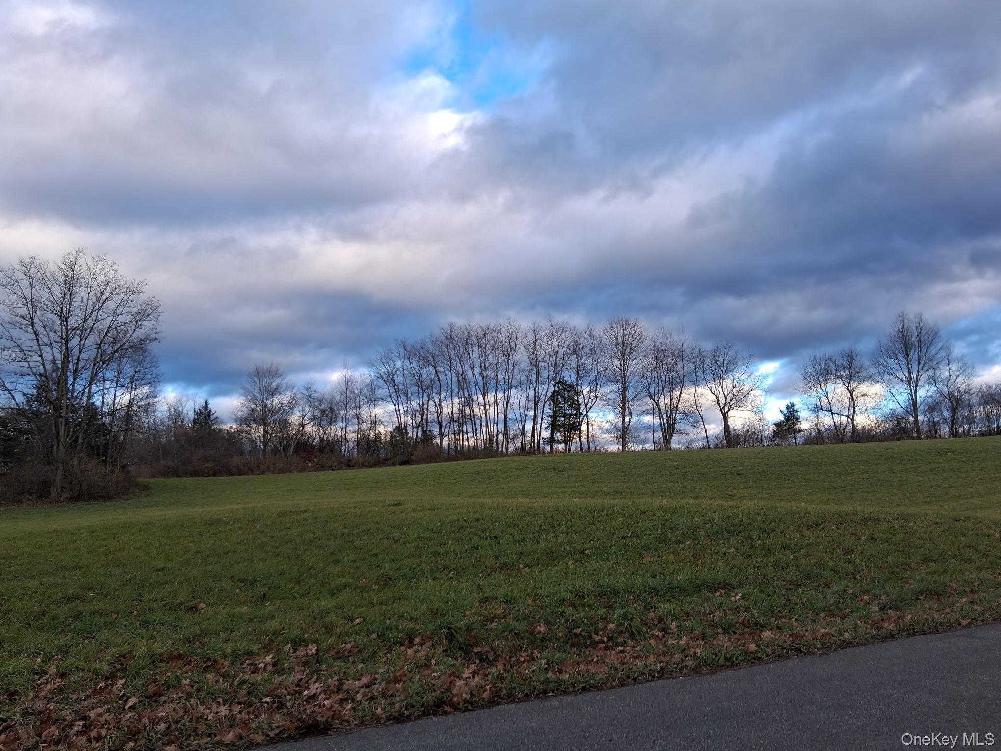South Road Germantown, NY 12526 - Photo 9 of 9 a view of a big yard