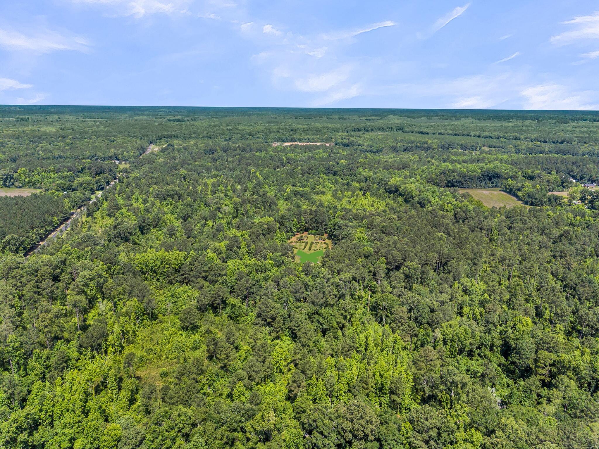 0 Wire Road Reevesville, SC 29471 - Photo 2 of 14