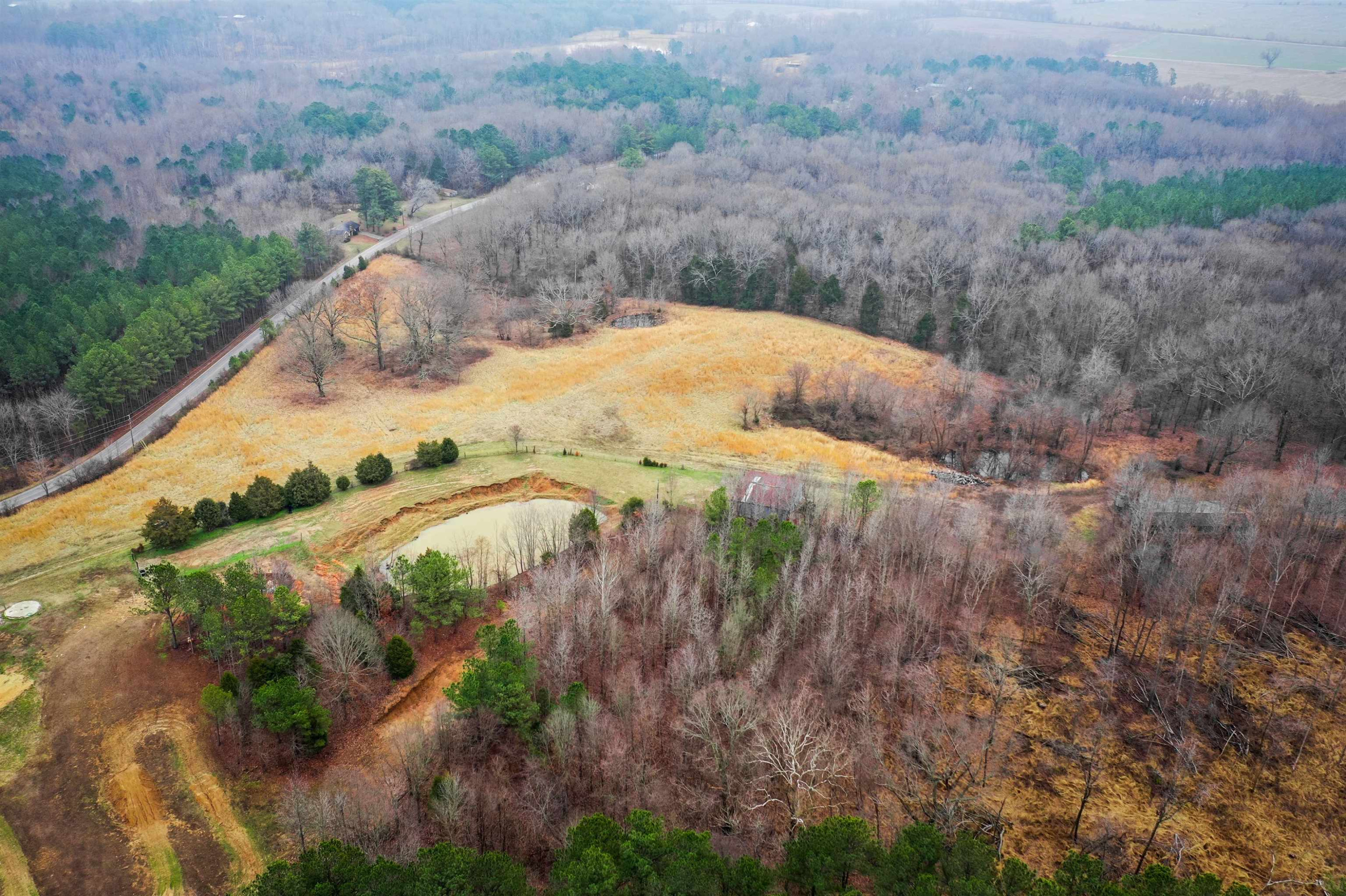 0 Workman Road Dresden, TN 38225 - Photo 3 of 11 a view of a dry yard with trees