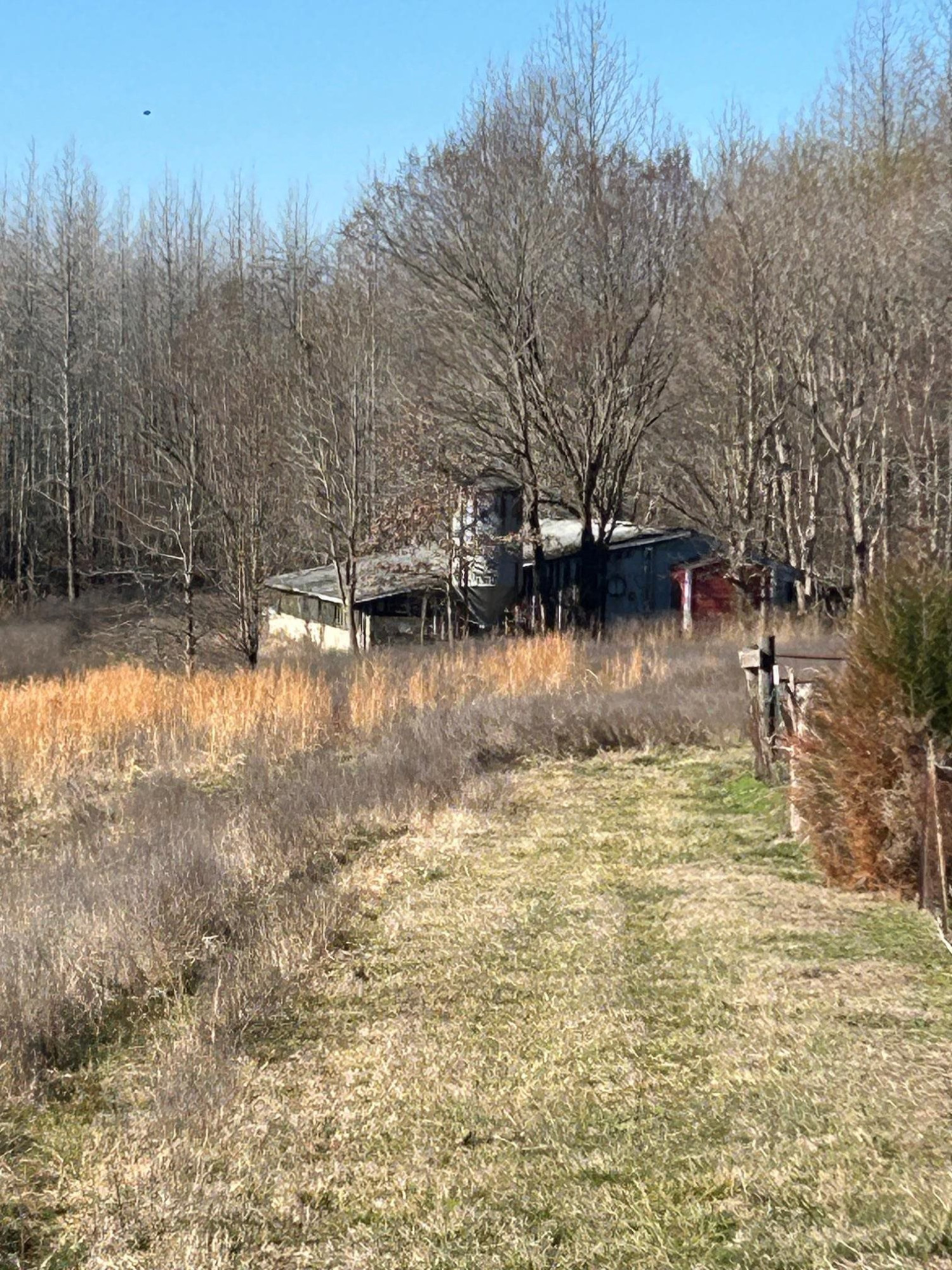 0 Workman Road Dresden, TN 38225 - Photo 8 of 11 a view of a lake view