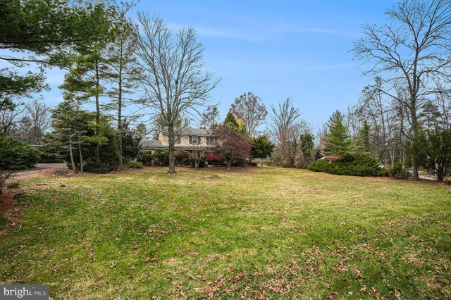 a view of a field with trees