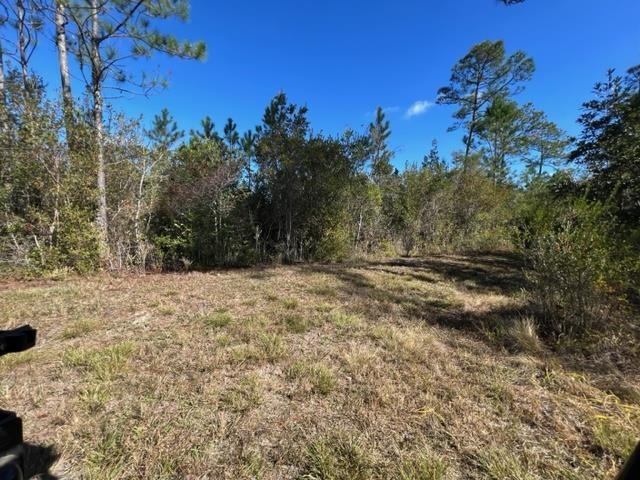 87 County Road Elberta, AL 36530 - Photo 6 of 7