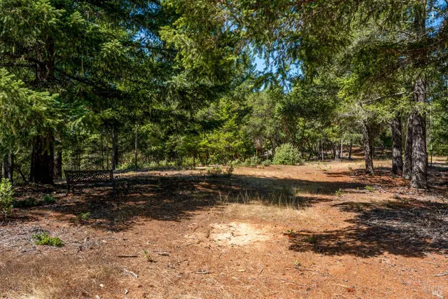 a view of a yard with trees