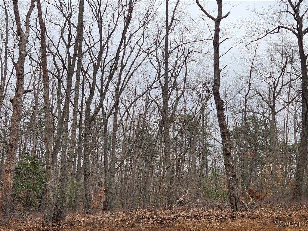 0 Atkinson Road Mineral, VA 23117 - Photo 1 of 17 a view of mountain with a trees